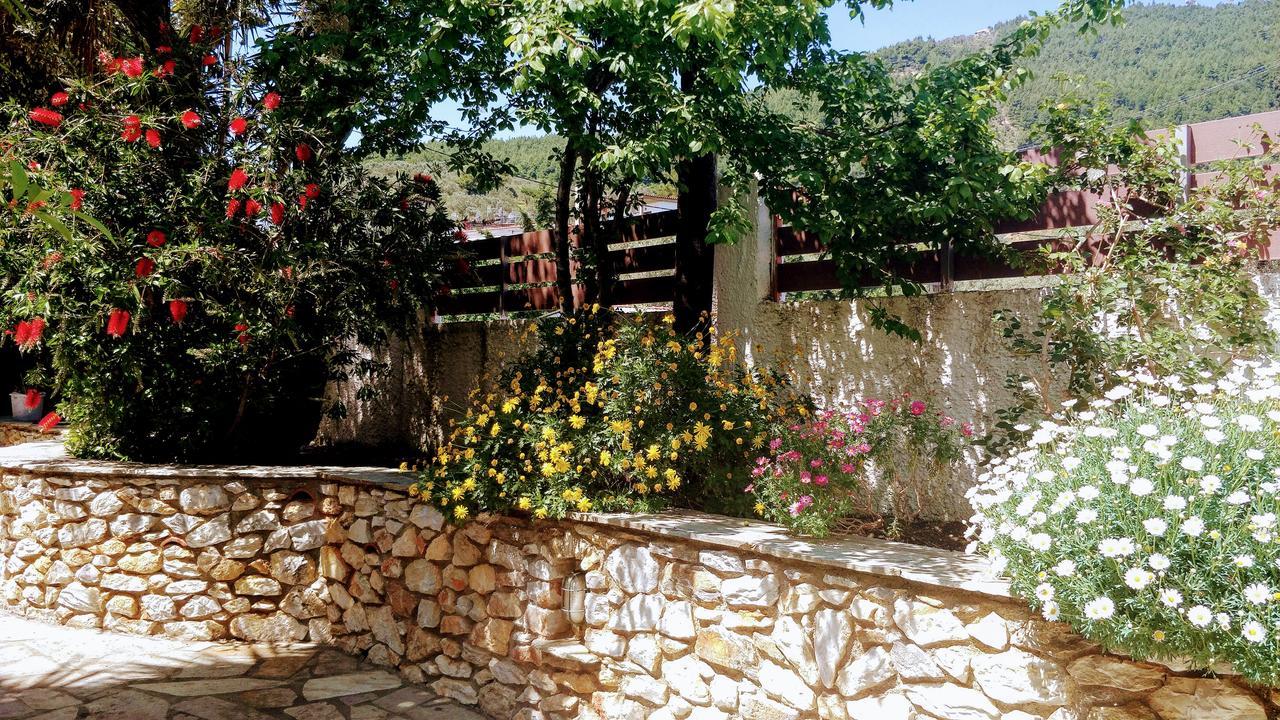 Maria Studios Skiathos Eksteriør billede