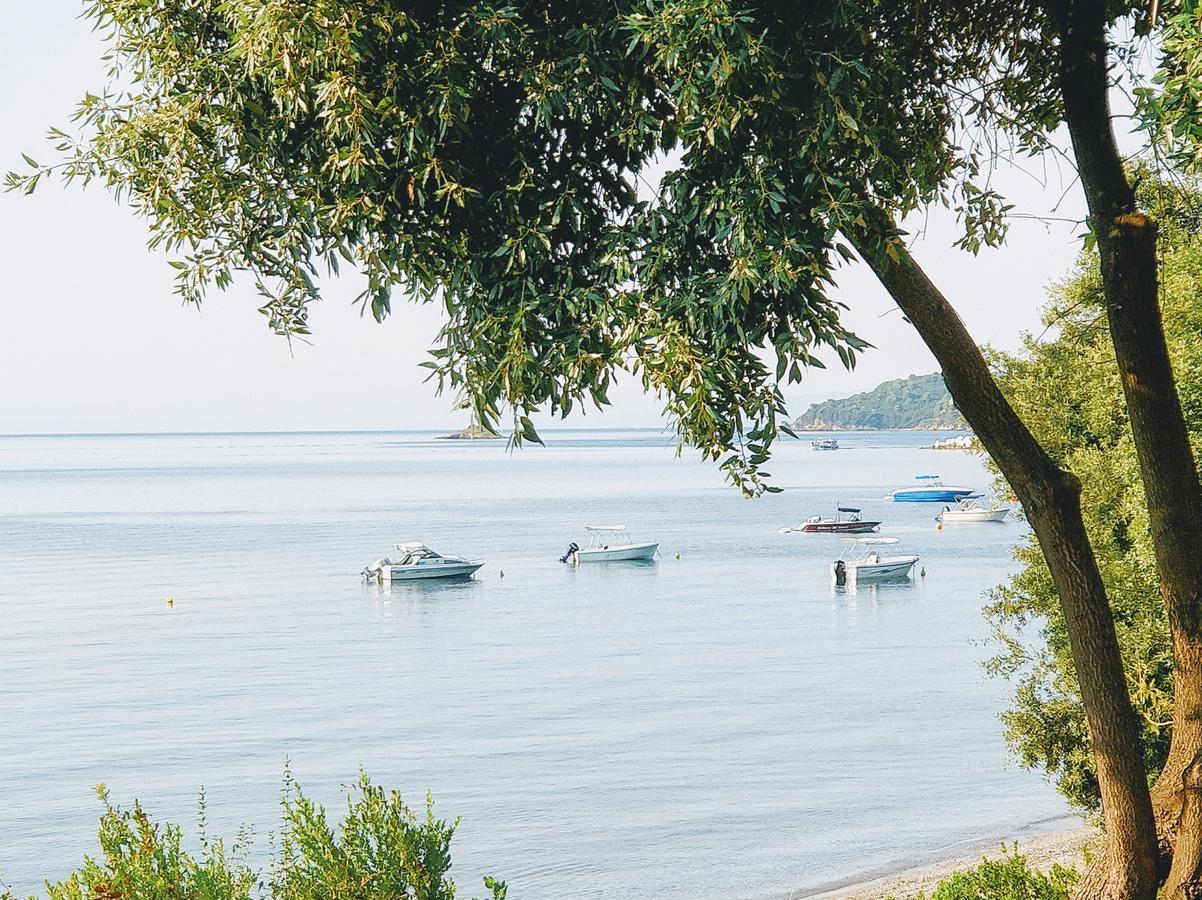 Maria Studios Skiathos Eksteriør billede
